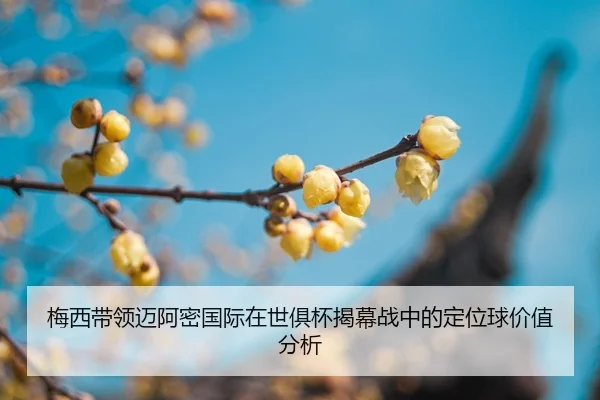 mei-xi-dai-ling-mai-a-mi-guo-ji-zai-shi-ju-bei-jie-mu-zhan-zhong-de-ding-wei-qiu-jia-zhi-fen-xi-2-266.jpg