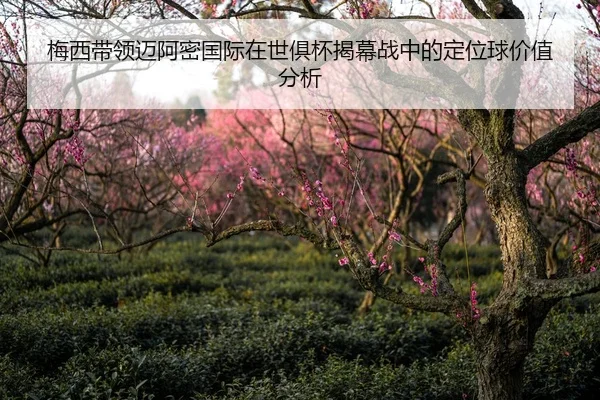 梅西带领迈阿密国际在世俱杯揭幕战中的定位球价值分析