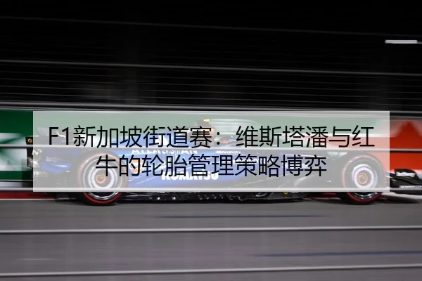 xin-jia-po-jie-dao-sai-wei-si-ta-pan-yu-hong-niu-de-lun-tai-guan-li-ce-lve-bo-yi-2-788.jpg