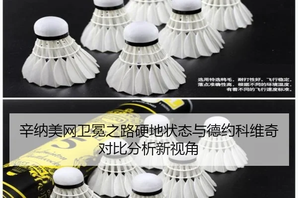 辛纳美网卫冕之路硬地状态与德约科维奇对比分析新视角