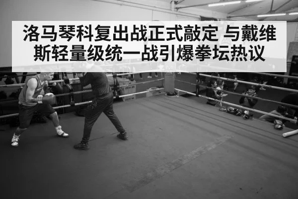 boxer training gym
