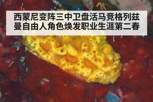 西蒙尼变阵三中卫盘活马竞格列兹曼自由人角色焕发职业生涯第二春